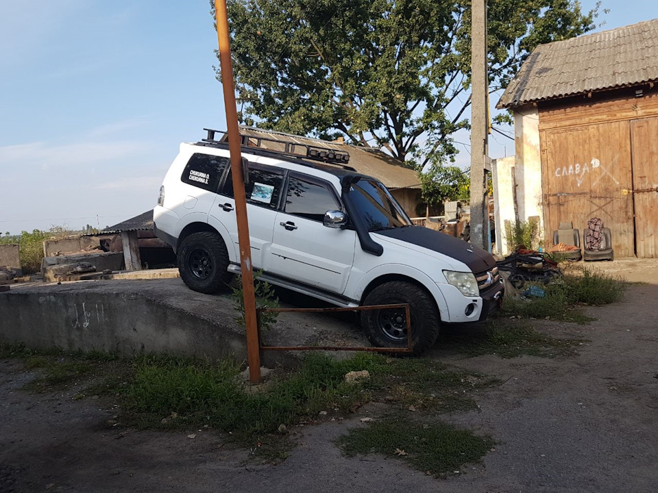 Panda росте (не в широку височінь) 5