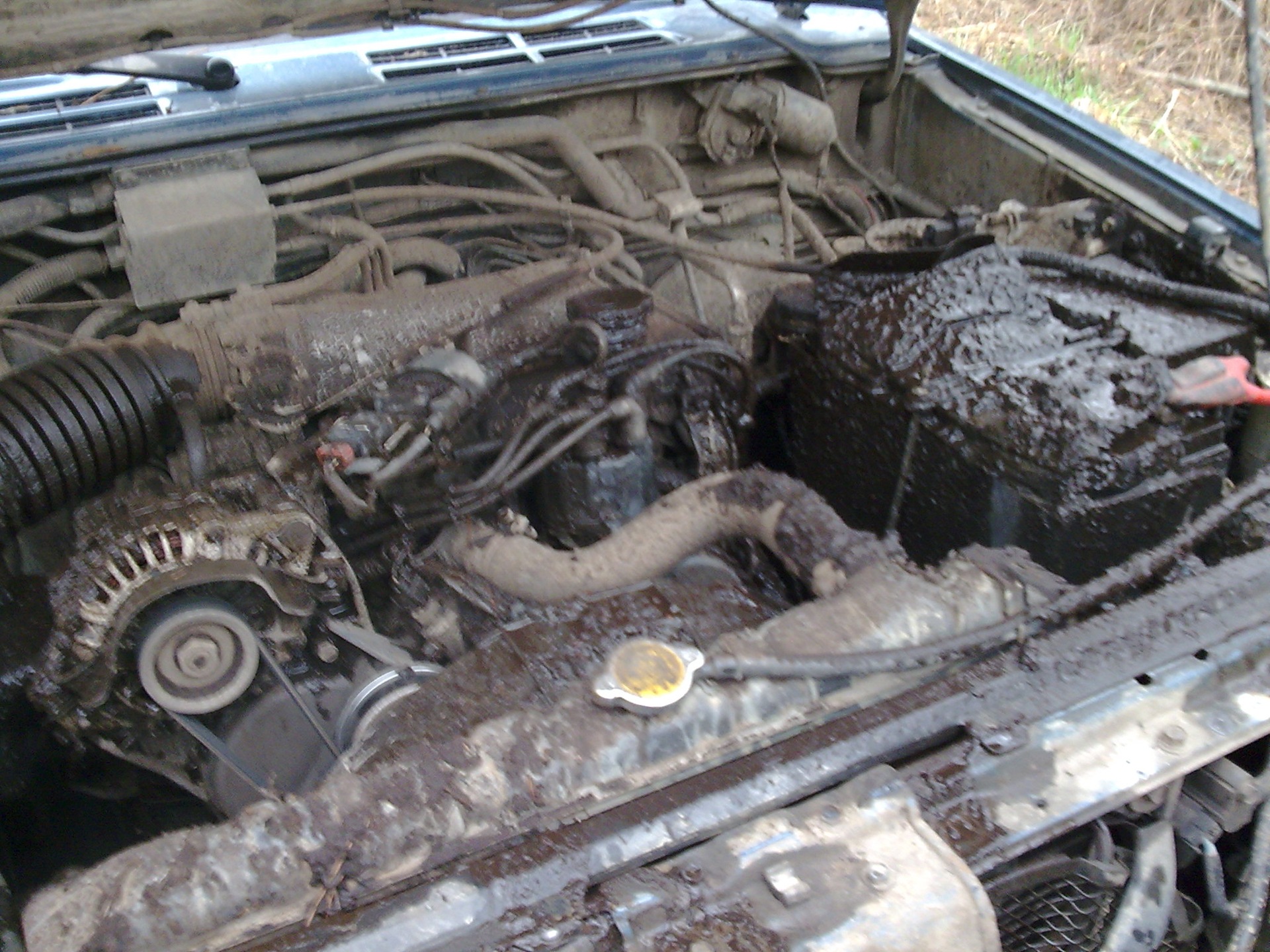 Ботанік-Трофі 2010 4