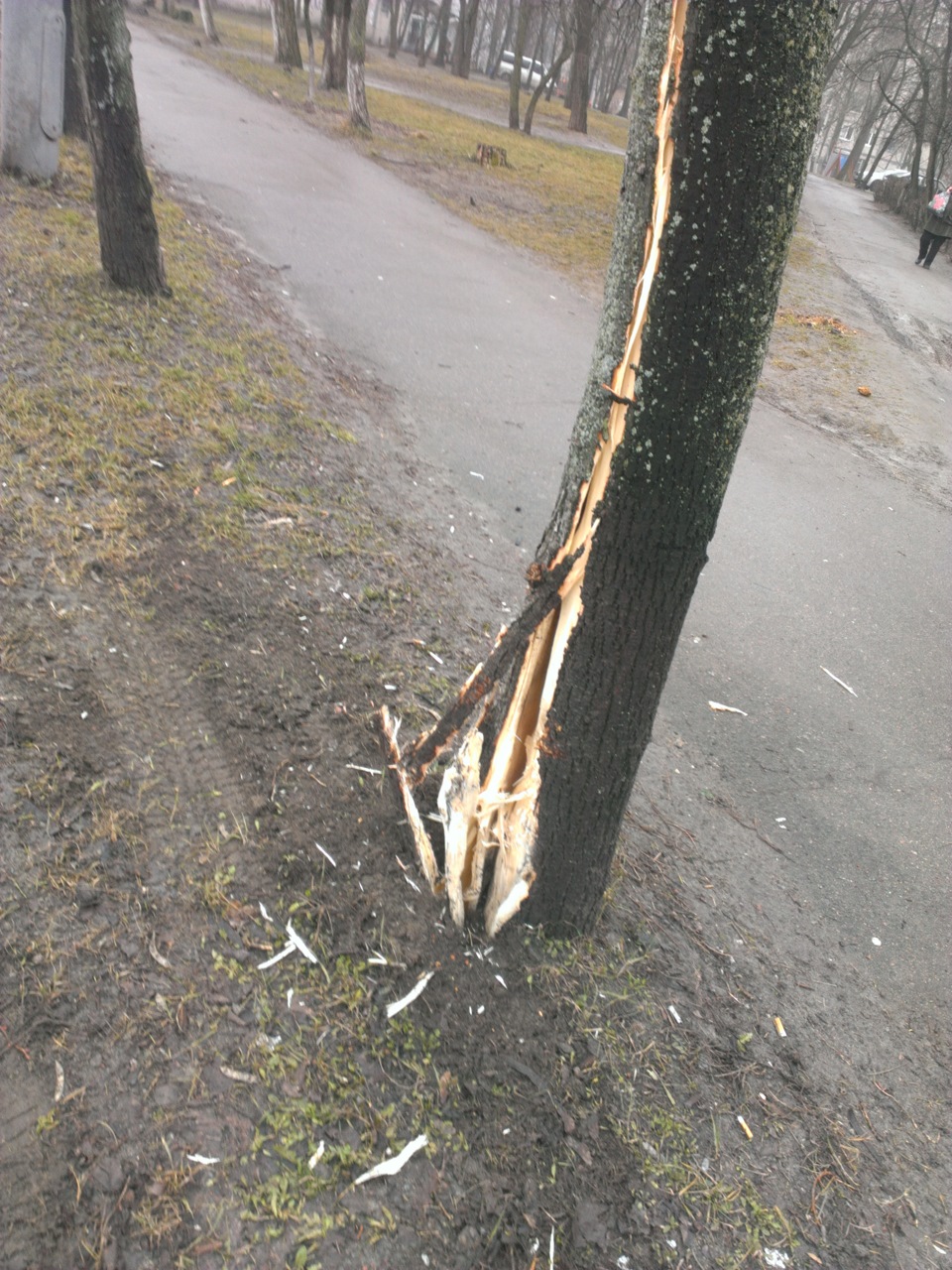 Попандос на рівному місці :( 2