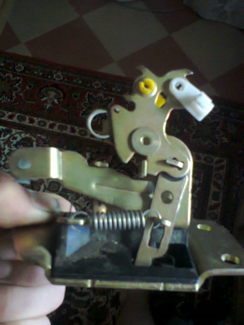 Задня ляда. 5