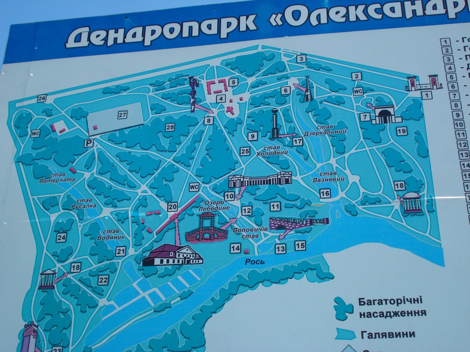 Майовка. Відпочинок. Дендропарк Олександрія. 2