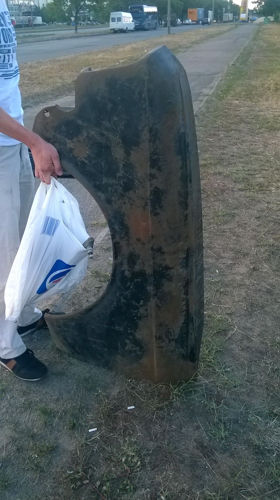 Крило переднє 4