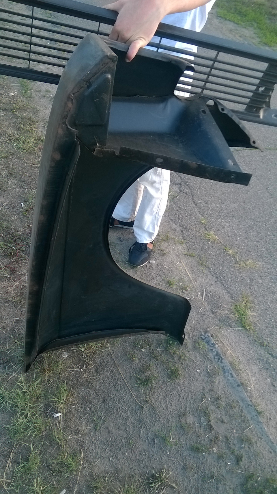 Крило переднє 2