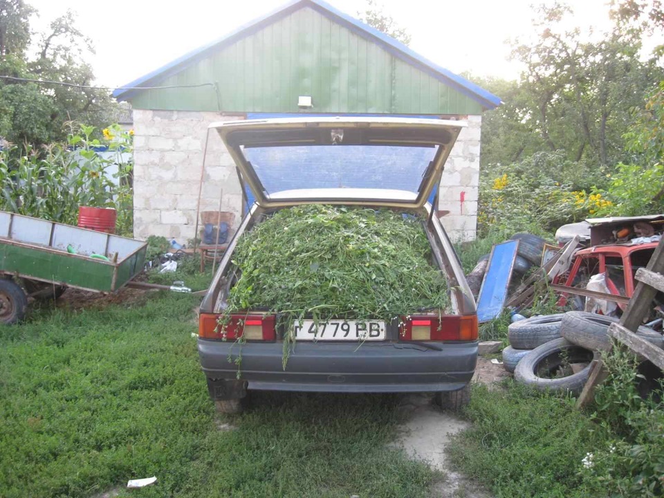 Архів фоток 4. 2