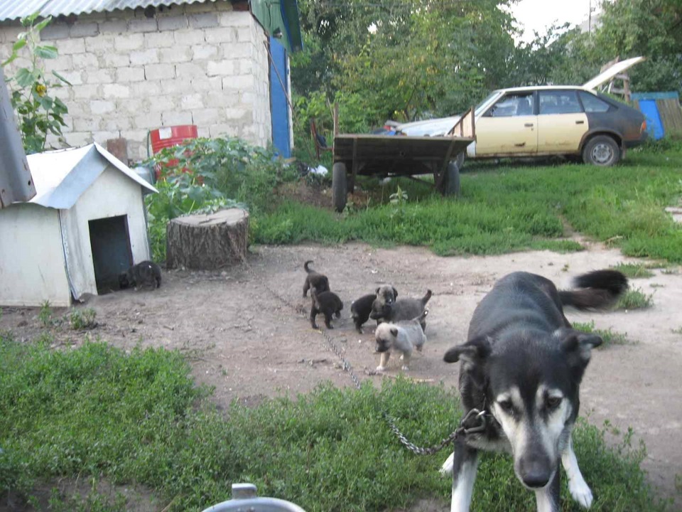 Архів фоток 4. 5