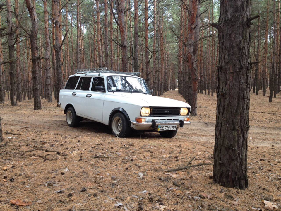 Поїздка до лісу. 2