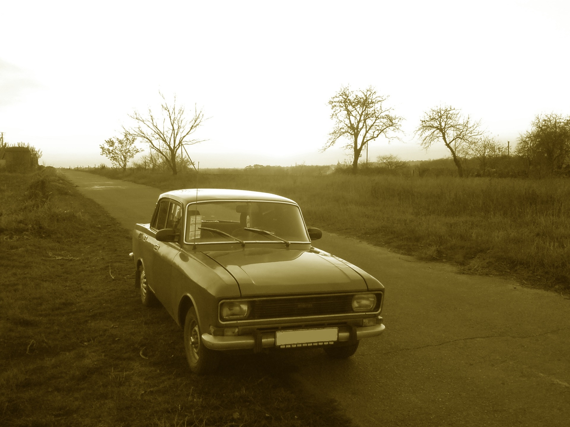 №21 фоточки 1