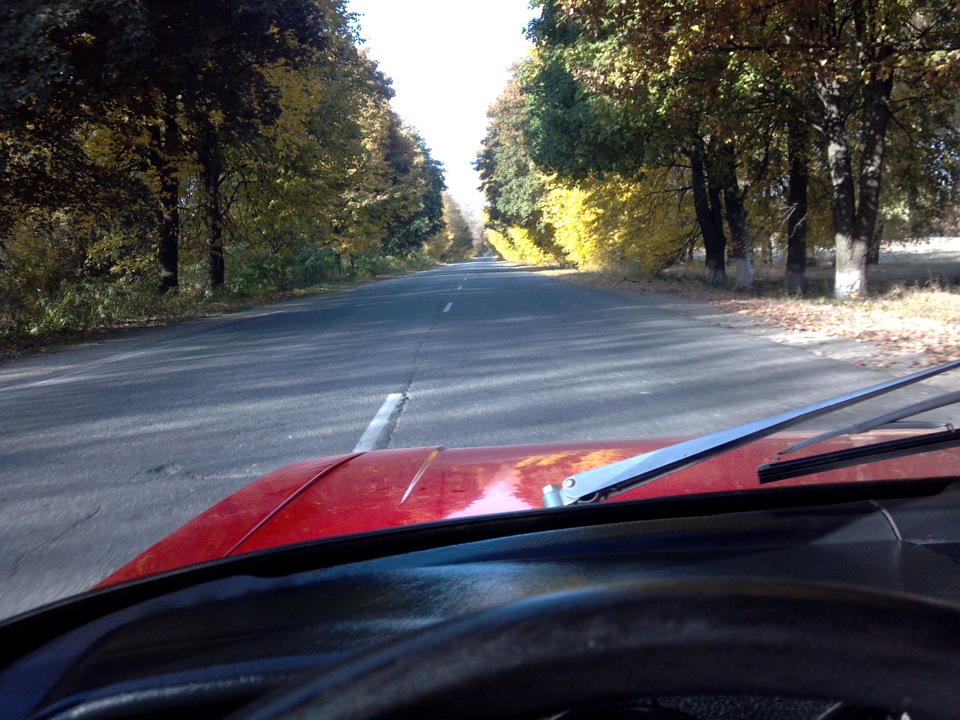 #autumn 2