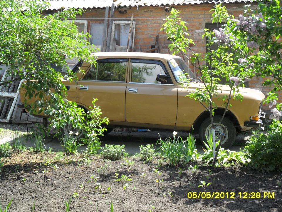 фотосесія 5