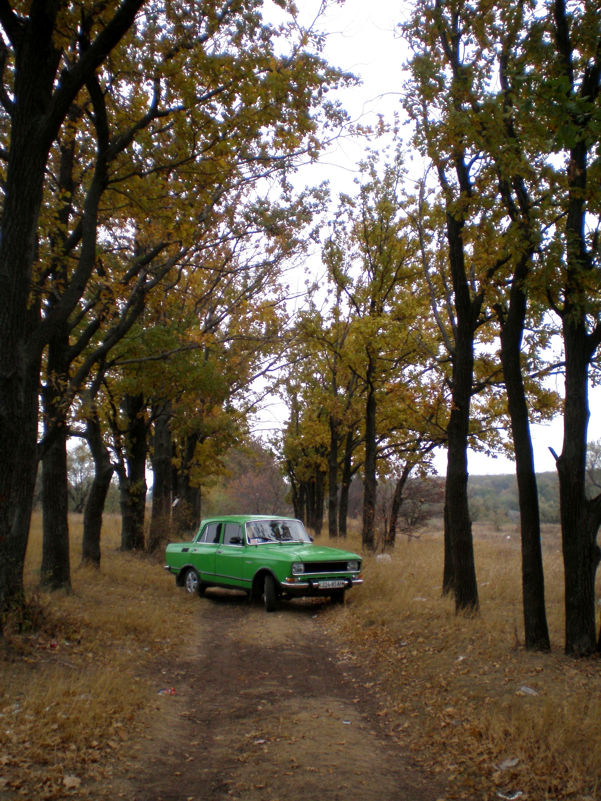 Осінній міні фотосет 2