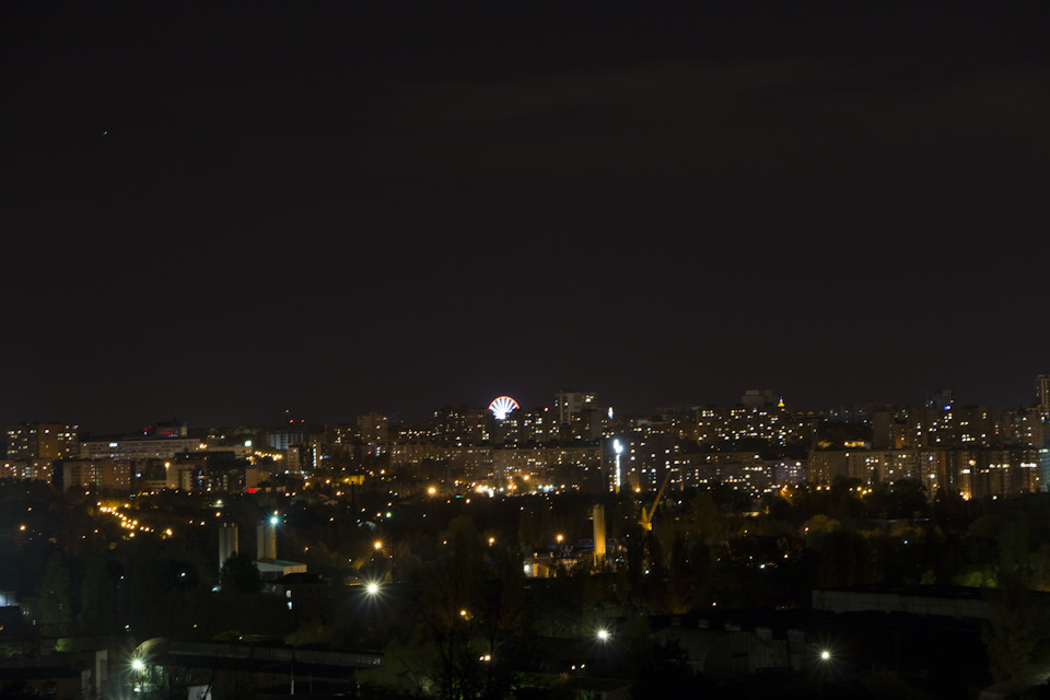 Поїздка до мокрого осіннього лісу 2
