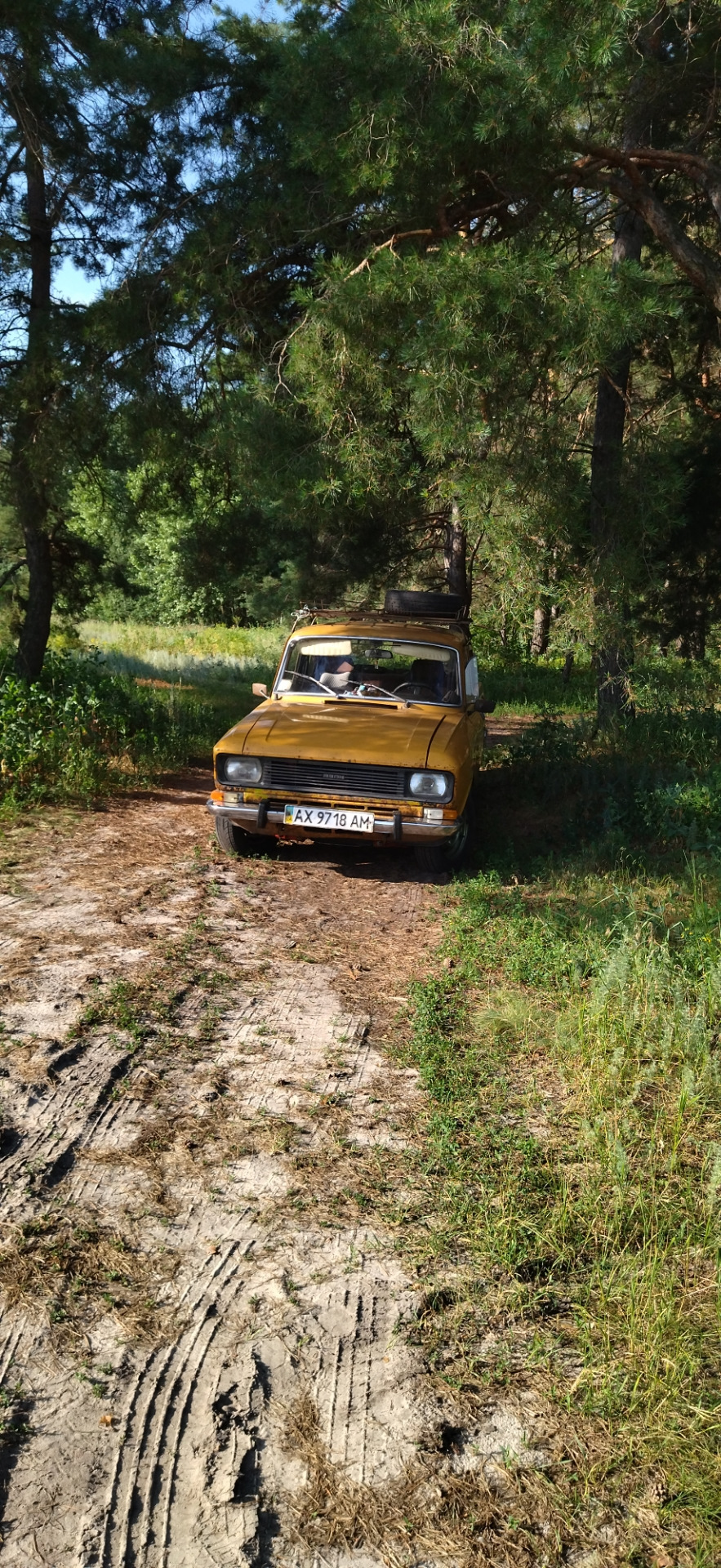 Поїздка до лісу. 1
