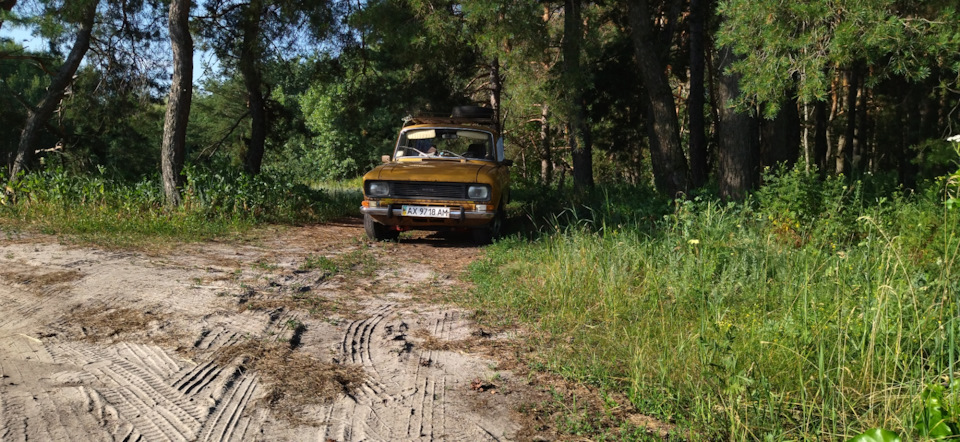 Поїздка до лісу. 2