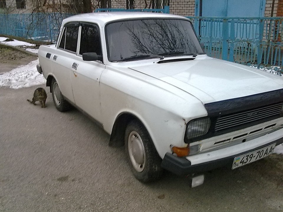 Бобік здох!(((( 2