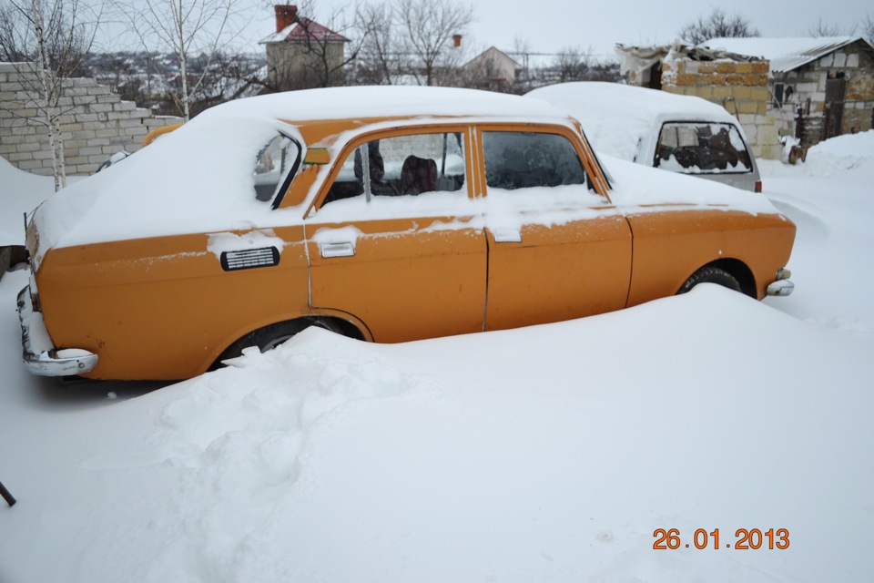 Зимовий сплячка 2