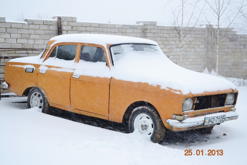 Зимовий сплячка 1