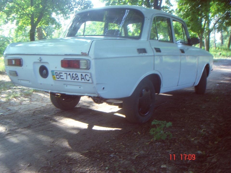 Запис №30 Перший фотосет моськи 4