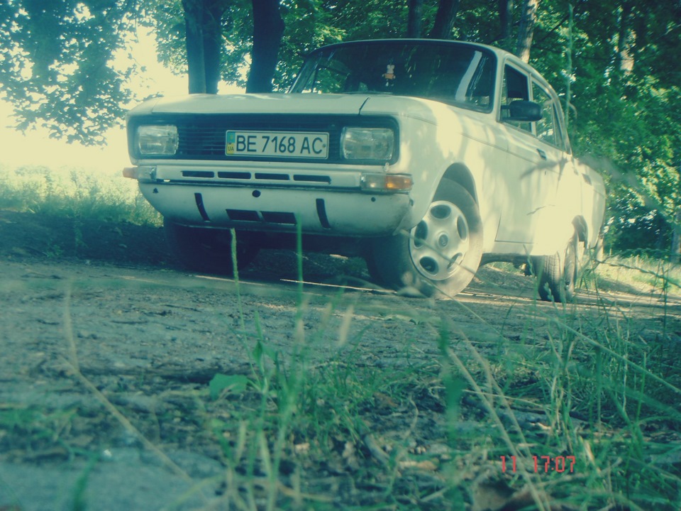 Запис №30 Перший фотосет моськи 1