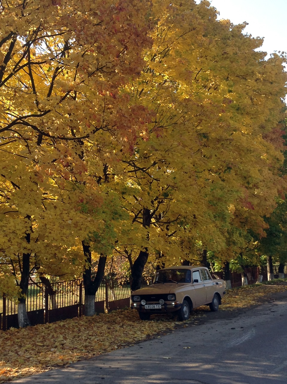 Прогулялися загороду 2