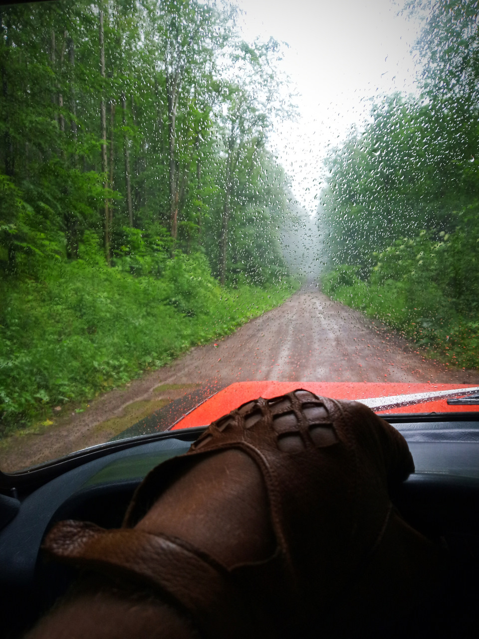 939,4 м metres above sea level. Road trip #2 4