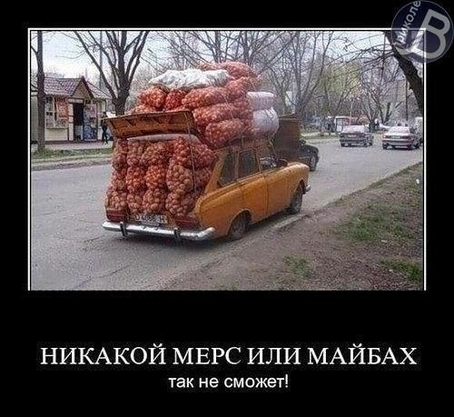 Позитив 5