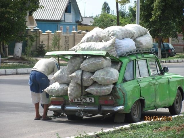 Позитив 1