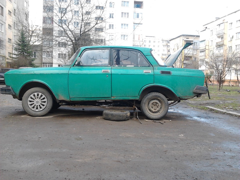 гальма 1