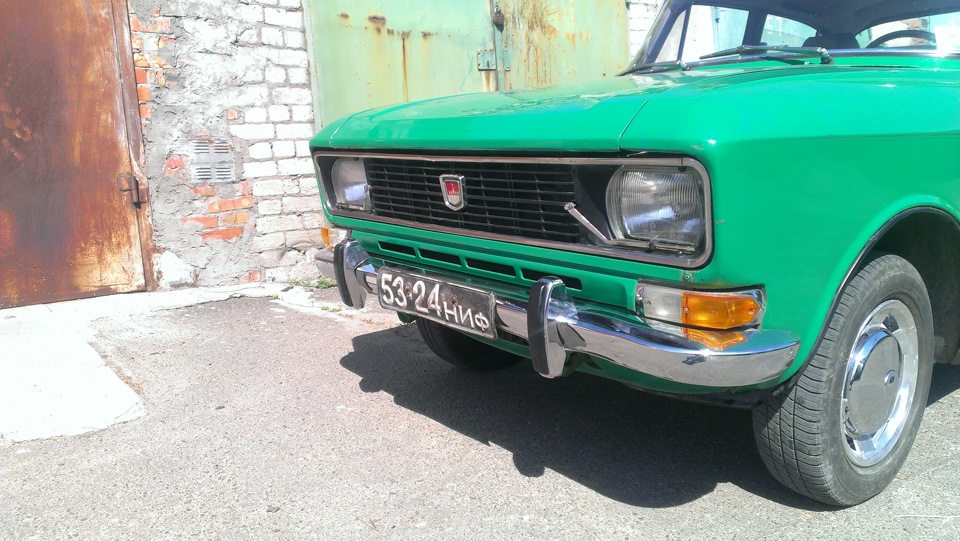 Хром ікла + 33 річчя 1
