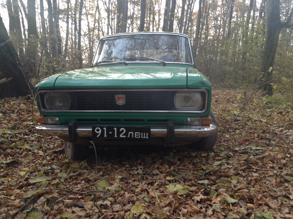 фототосет у лісі 3