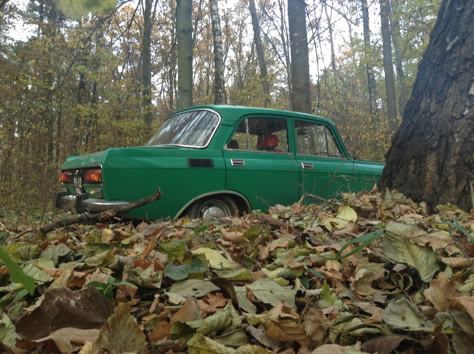 фототосет у лісі 2