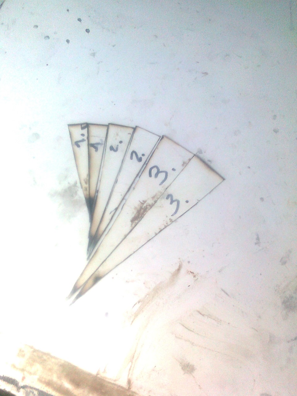 3.Зябра) 4