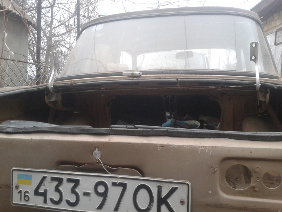 тарсеончики) 2
