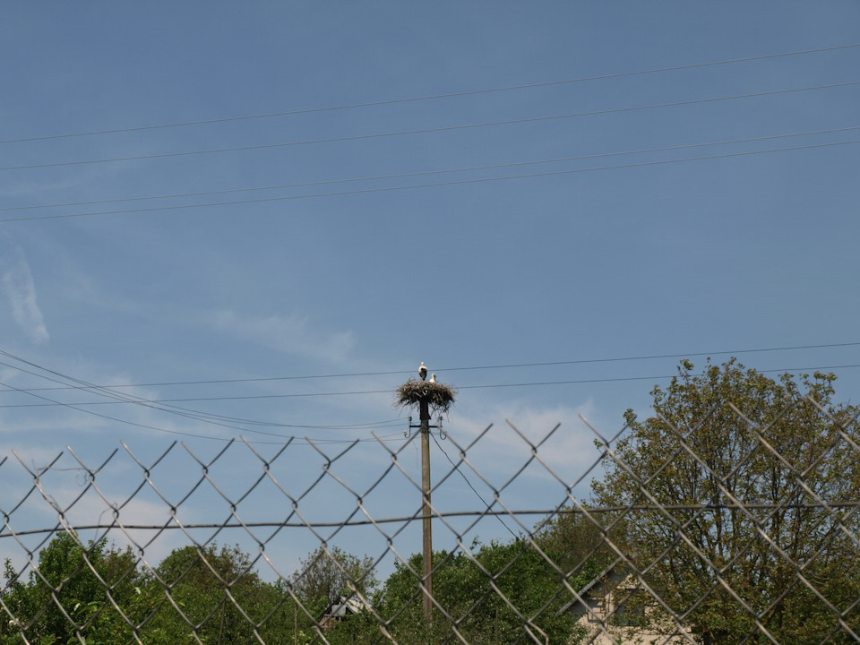 Ставки 3