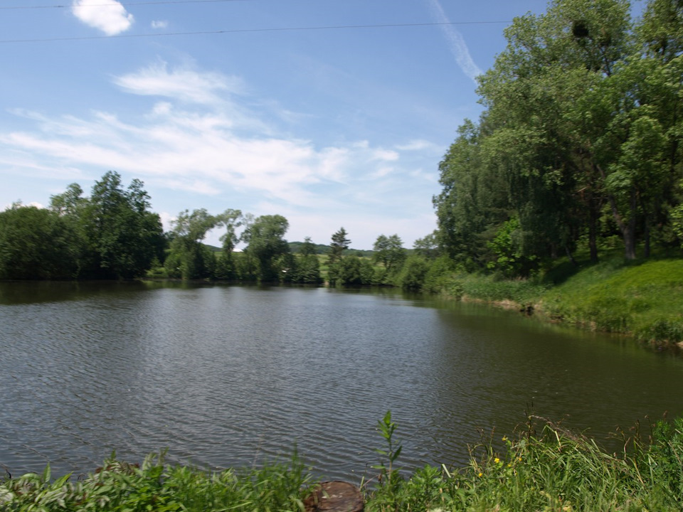 Ставки 5