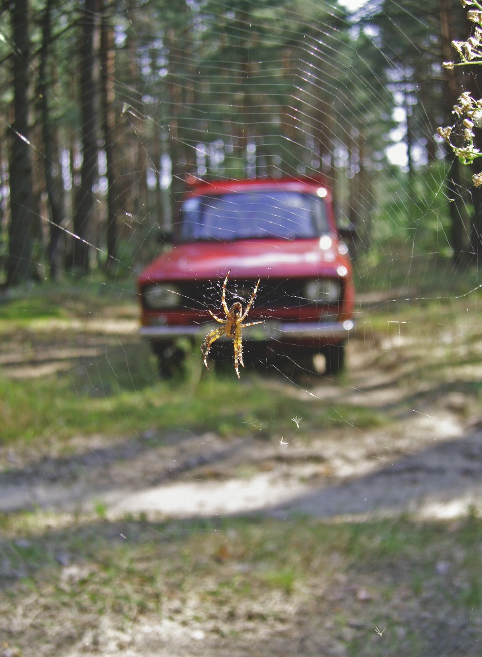 30 років 5