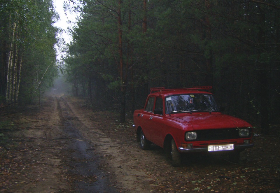 Світанок у лісі 3