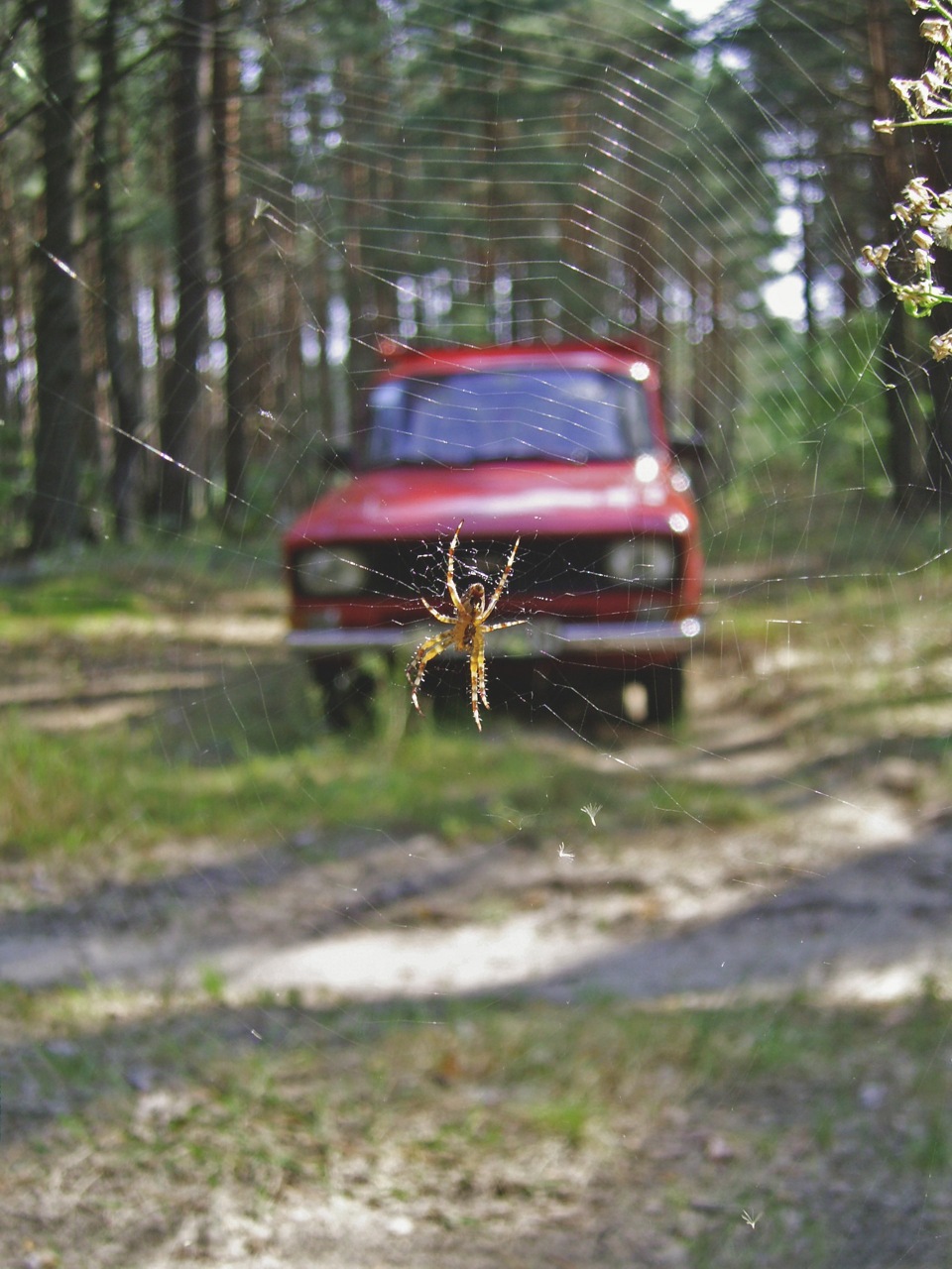 Вересневі фотокартки 3