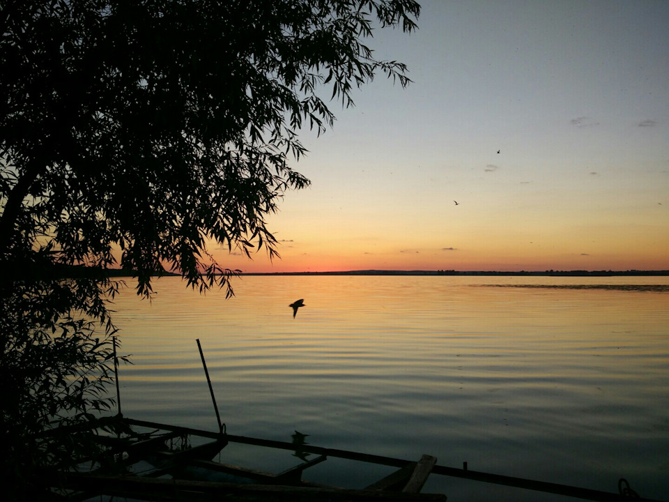 Останні дні поїздки 3