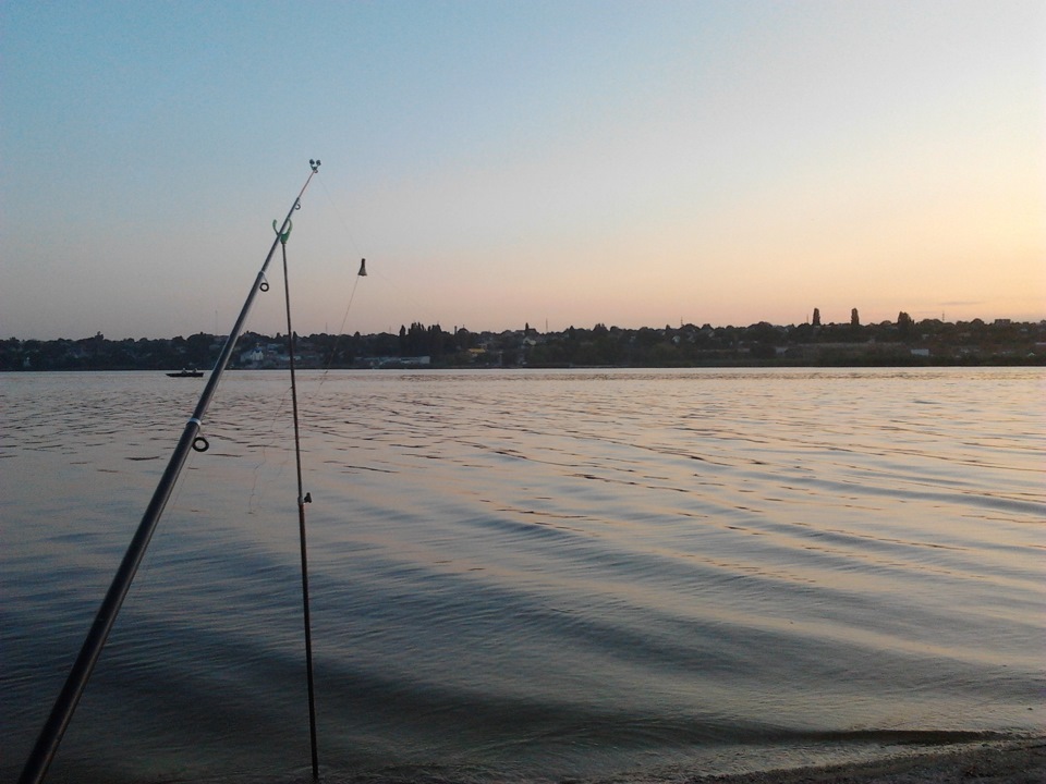 Що відбувалося весь цей час) 5