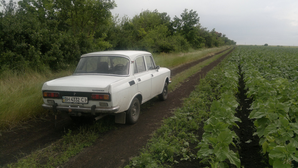 Поїздка до села на вихідні 2