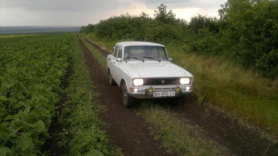 Поїздка до села на вихідні 1