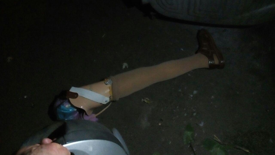 -ей, сорокет, можна я вдома житиму? 1