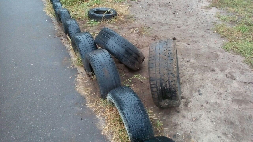 трюфель 1
