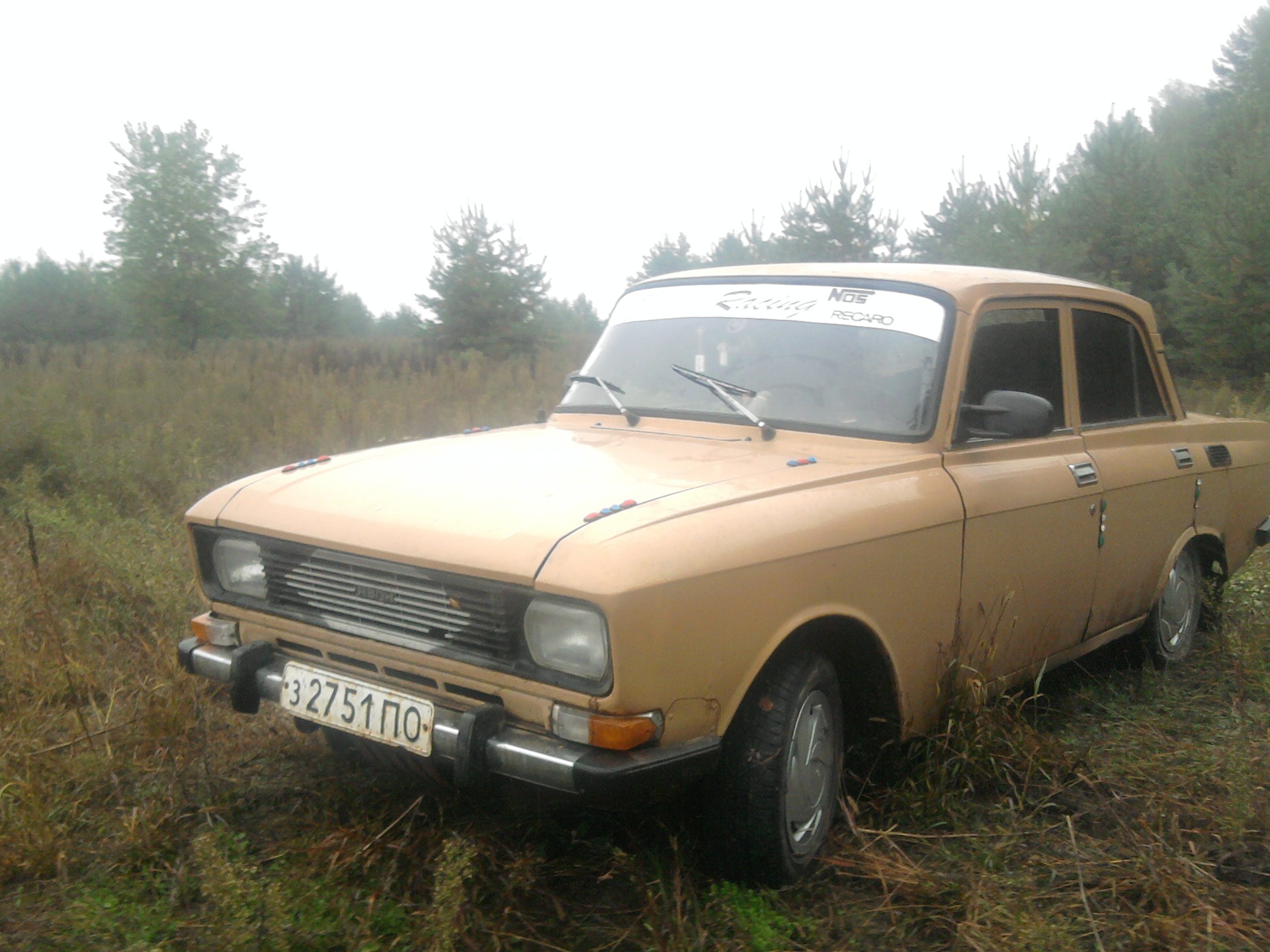 поїздка в ліс грибами 3