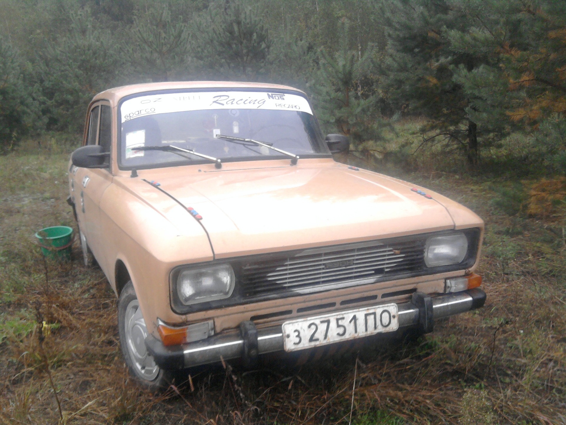 поїздка в ліс грибами 4