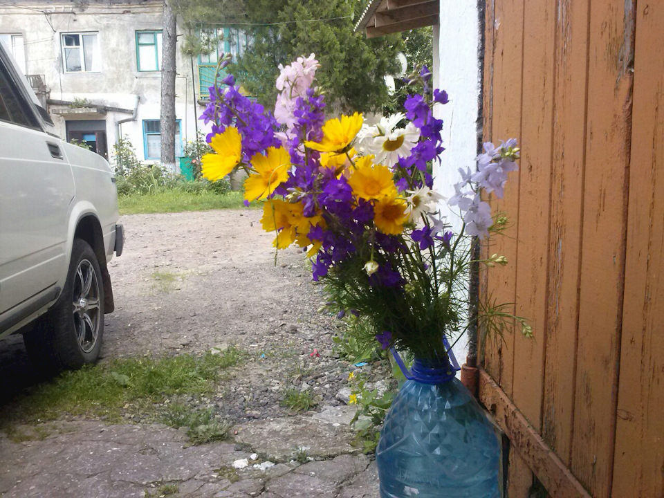 Гаражна флора та фауна))) 1