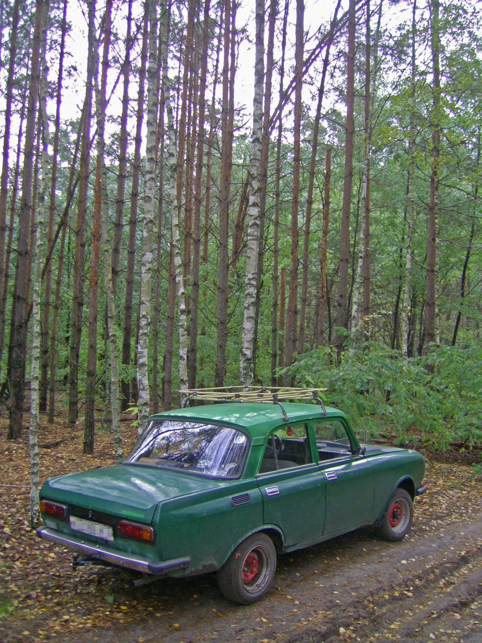 Осень 5