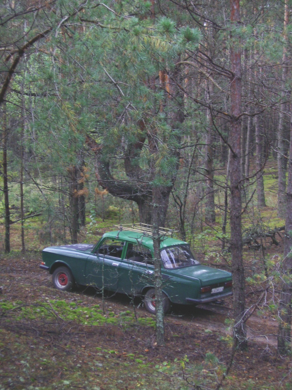 Осень 2