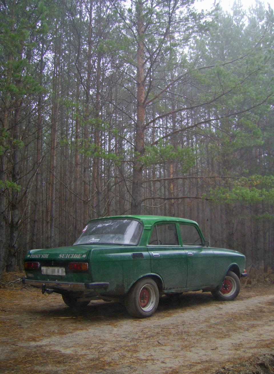 Осень. Туман. Лес. 5