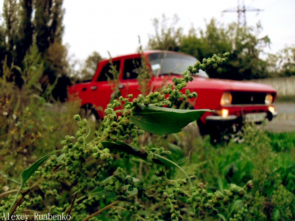 Невеликий фотосетик після трудового дня 4